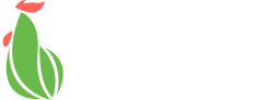 Poultry Revolutionized